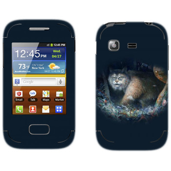   « - Kisung»   Samsung Galaxy Pocket/Pocket Duos