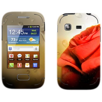   « »   Samsung Galaxy Pocket/Pocket Duos