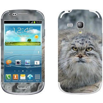   «»   Samsung Galaxy S3 Mini