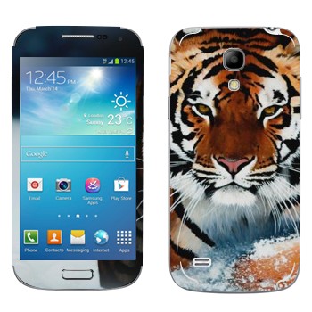 Samsung Galaxy S4 Mini Duos