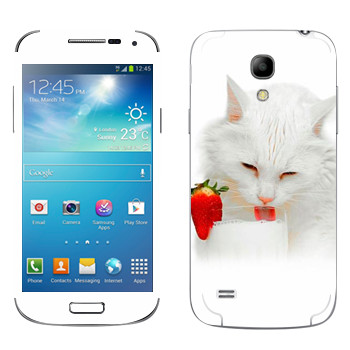   «   »   Samsung Galaxy S4 Mini Duos