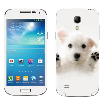   « »   Samsung Galaxy S4 Mini Duos