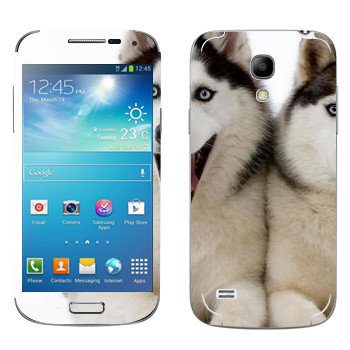   « »   Samsung Galaxy S4 Mini Duos