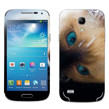   « »   Samsung Galaxy S4 Mini Duos