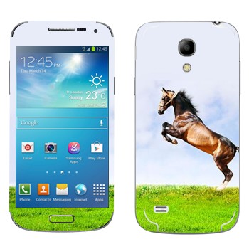 Samsung Galaxy S4 Mini Duos