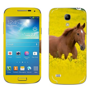   «  »   Samsung Galaxy S4 Mini Duos