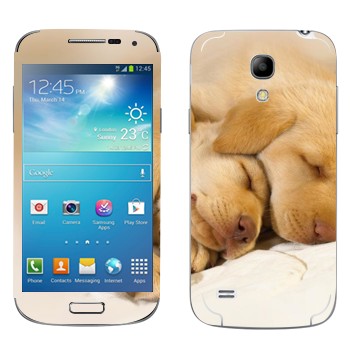   « »   Samsung Galaxy S4 Mini Duos