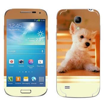   «  »   Samsung Galaxy S4 Mini Duos