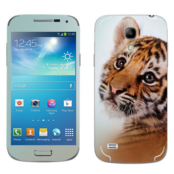   «»   Samsung Galaxy S4 Mini Duos