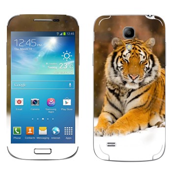   « »   Samsung Galaxy S4 Mini Duos