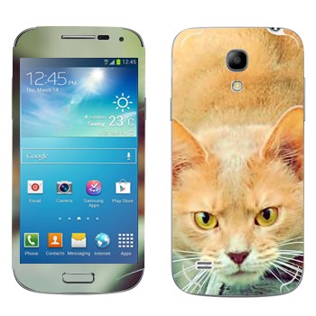   «  »   Samsung Galaxy S4 Mini Duos