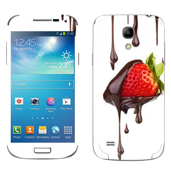   «  »   Samsung Galaxy S4 Mini Duos