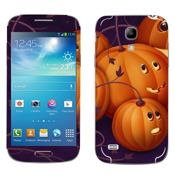   «  - »   Samsung Galaxy S4 Mini Duos