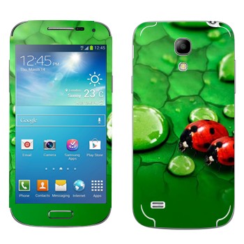   «   »   Samsung Galaxy S4 Mini Duos