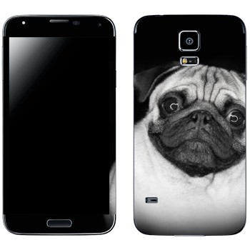   «»   Samsung Galaxy S5