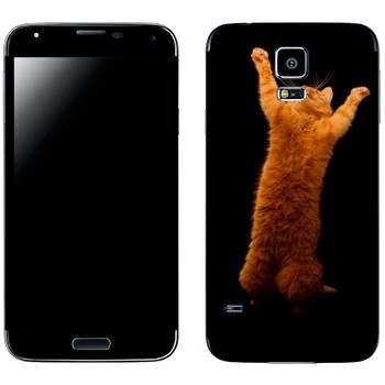   «     »   Samsung Galaxy S5