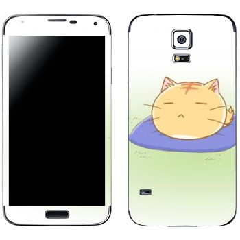   «Poyo »   Samsung Galaxy S5