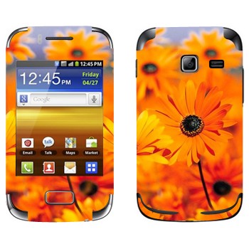   «  »   Samsung Galaxy Y Duos