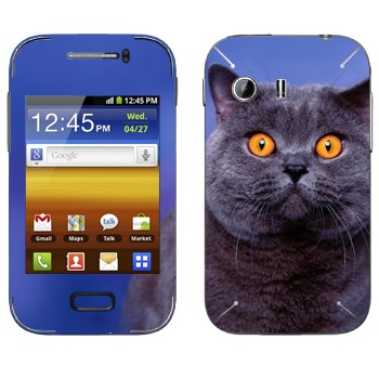 Samsung Galaxy Y MTS Edition