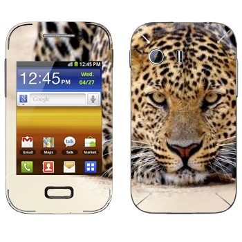   « »   Samsung Galaxy Y MTS Edition