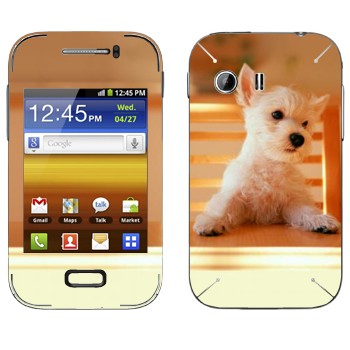 Samsung Galaxy Y MTS Edition