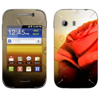   « »   Samsung Galaxy Y MTS Edition