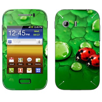 Samsung Galaxy Y MTS Edition