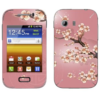 Samsung Galaxy Y MTS Edition