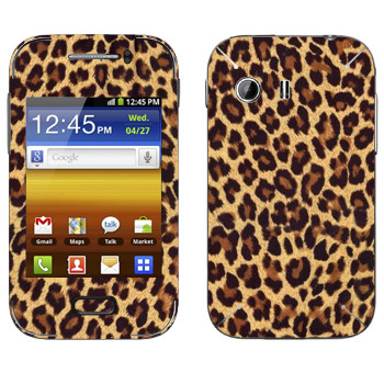   «  »   Samsung Galaxy Y MTS Edition