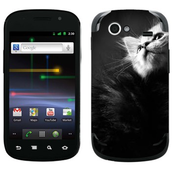 Samsung Google Nexus S