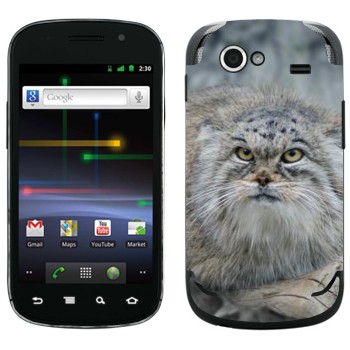   «»   Samsung Google Nexus S