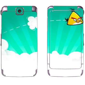   « - Angry Birds»   Samsung S3600