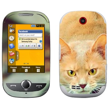   «  »   Samsung S3650 Corby