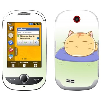 Samsung S3650 Corby