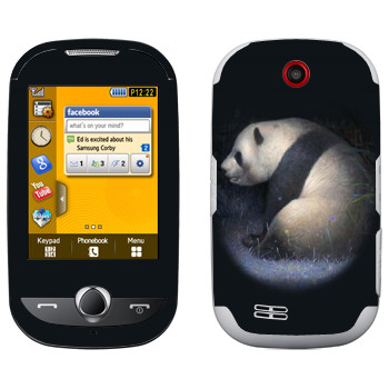   «»   Samsung S3650 Corby