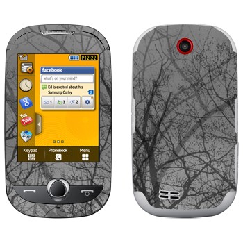 Samsung S3650 Corby