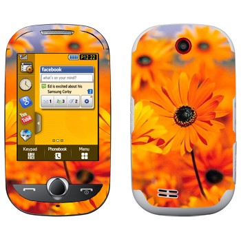   «  »   Samsung S3650 Corby