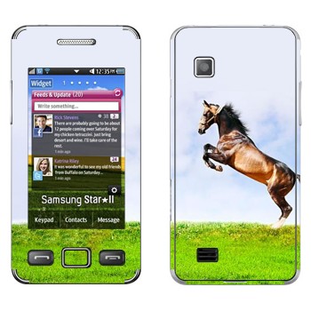  «    »   Samsung S5260 Star II