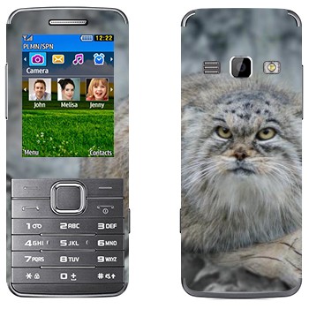   «»   Samsung S5610