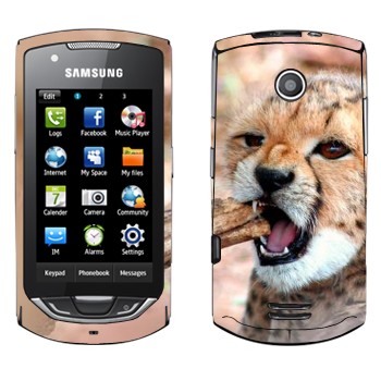   « »   Samsung S5620 Monte