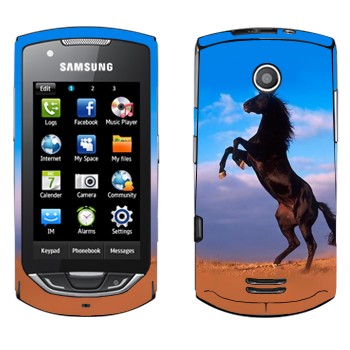   «  »   Samsung S5620 Monte