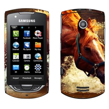   «  »   Samsung S5620 Monte