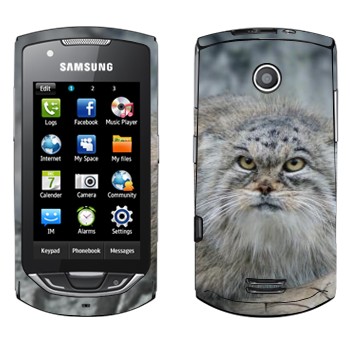   «»   Samsung S5620 Monte