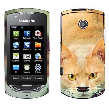   «  »   Samsung S5620 Monte