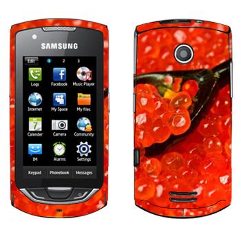   « »   Samsung S5620 Monte