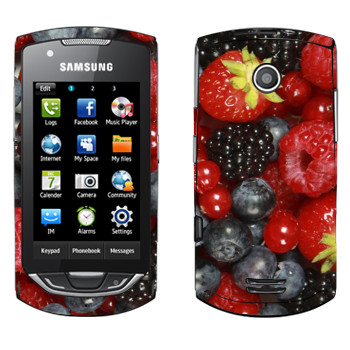   «»   Samsung S5620 Monte