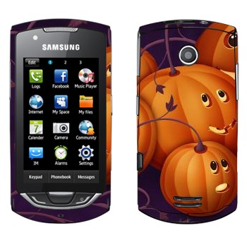   «  - »   Samsung S5620 Monte