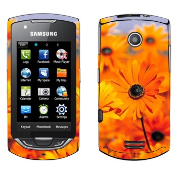   «  »   Samsung S5620 Monte