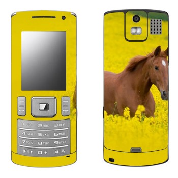   «  »   Samsung U800 Soul