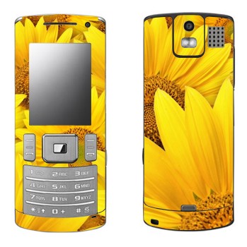 Samsung U800 Soul